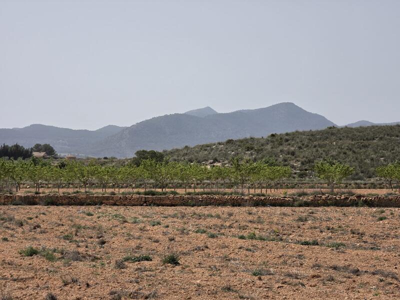 Landhuis Te koop in Pinoso, Alicante