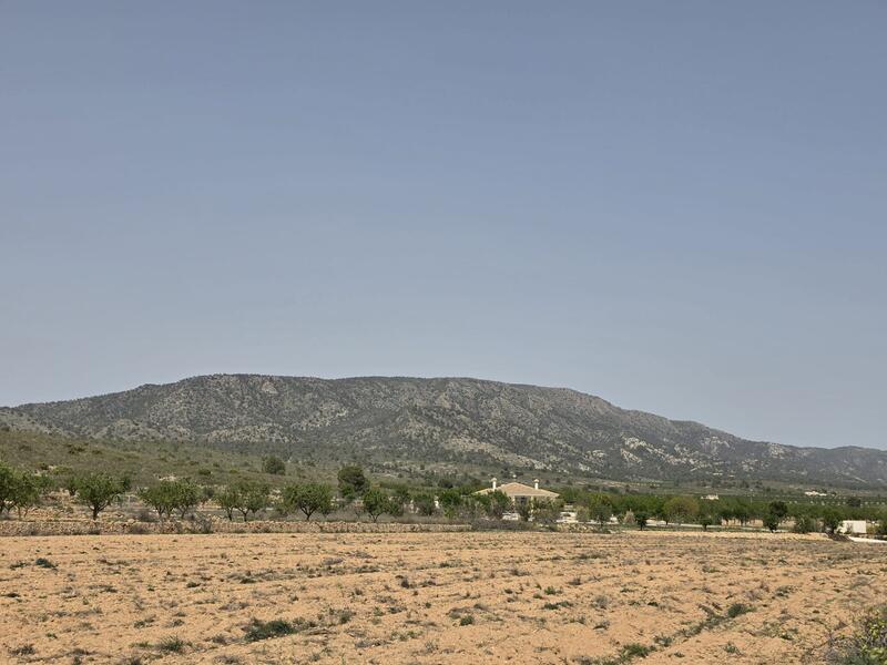 Landhuis Te koop in Pinoso, Alicante