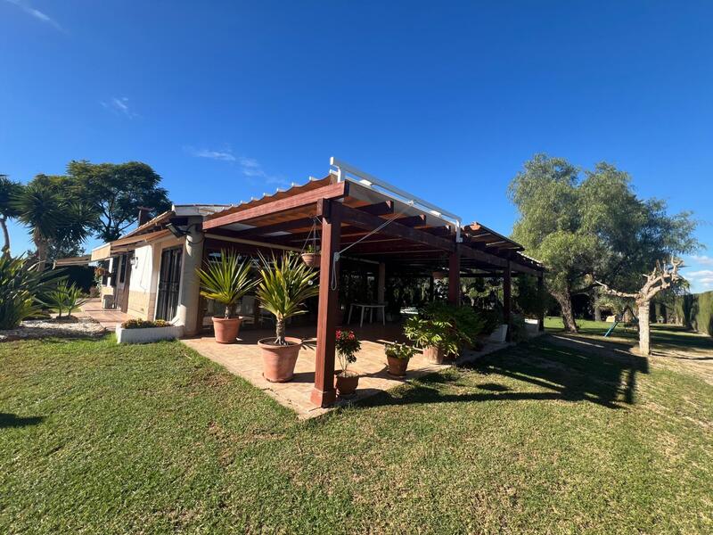 4 Cuarto Casa de Campo en venta en Dolores, Alicante