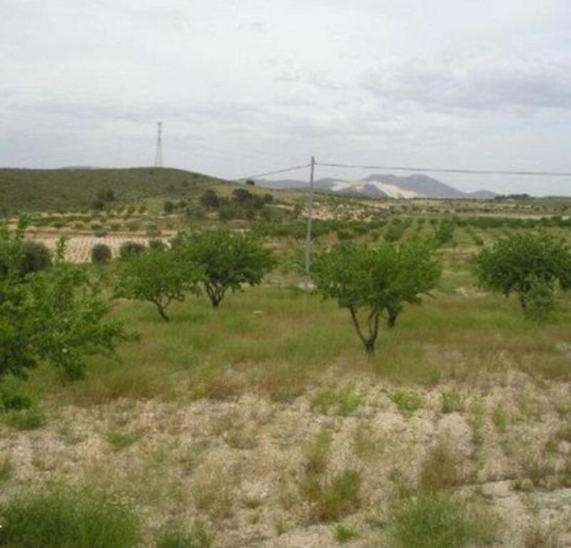 Casa de Campo en venta en Abanilla, Murcia
