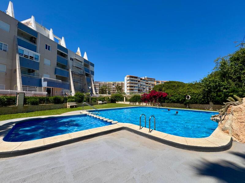 квартира продается в Torrevieja, Alicante