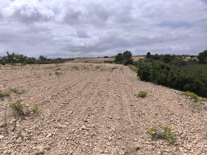 Country House for sale