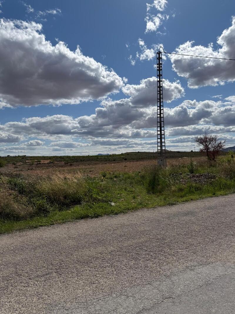 Lantställe till salu