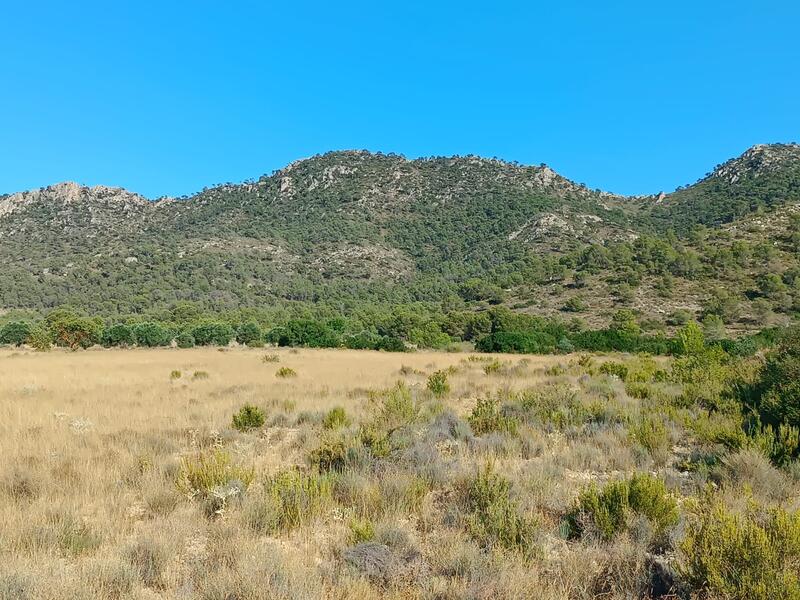 Деревенский Дом продается в Yecla, Murcia
