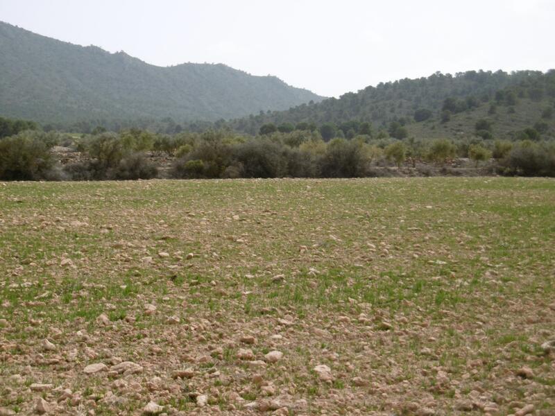 Деревенский Дом продается в Yecla, Murcia
