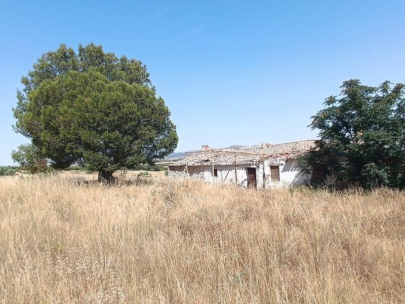 Övrig till salu i Yecla, Murcia