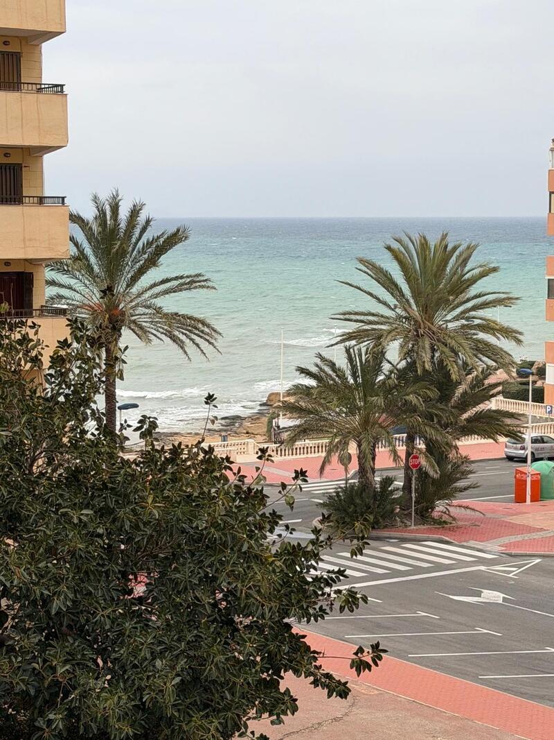 Lejlighed til salg i Torrevieja, Alicante