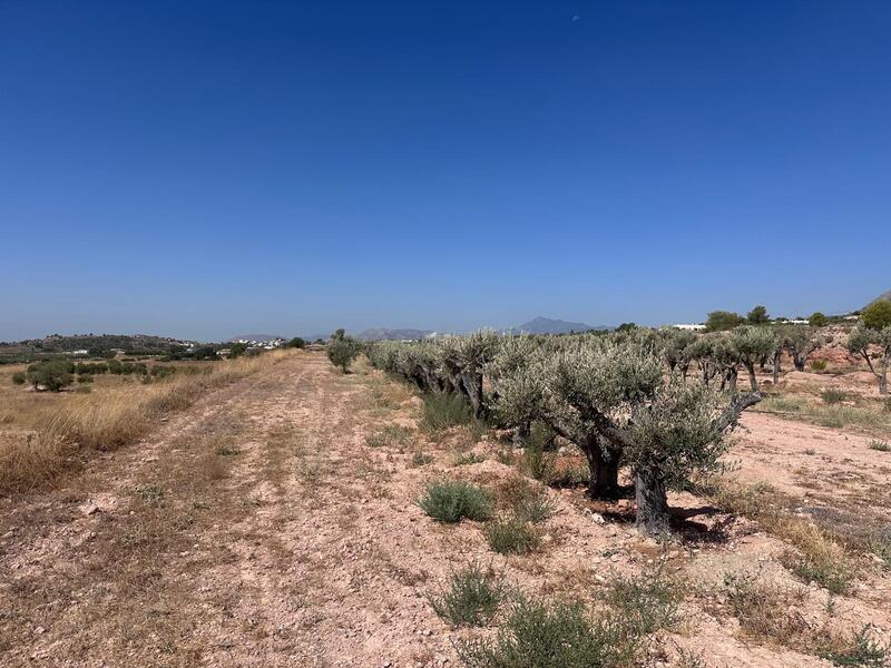 Country House for sale Country House for sale