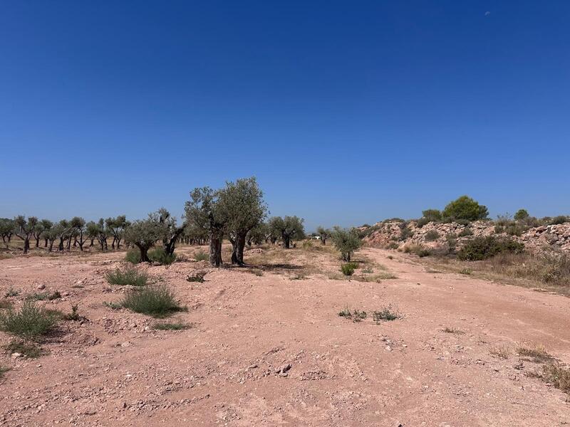 Country House for sale Country House for sale