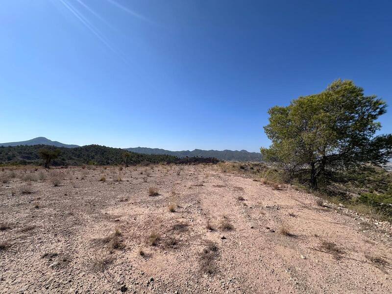Country House for sale Country House for sale