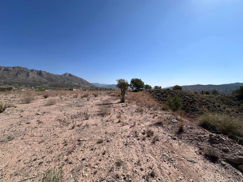 Country House for sale Country House for sale