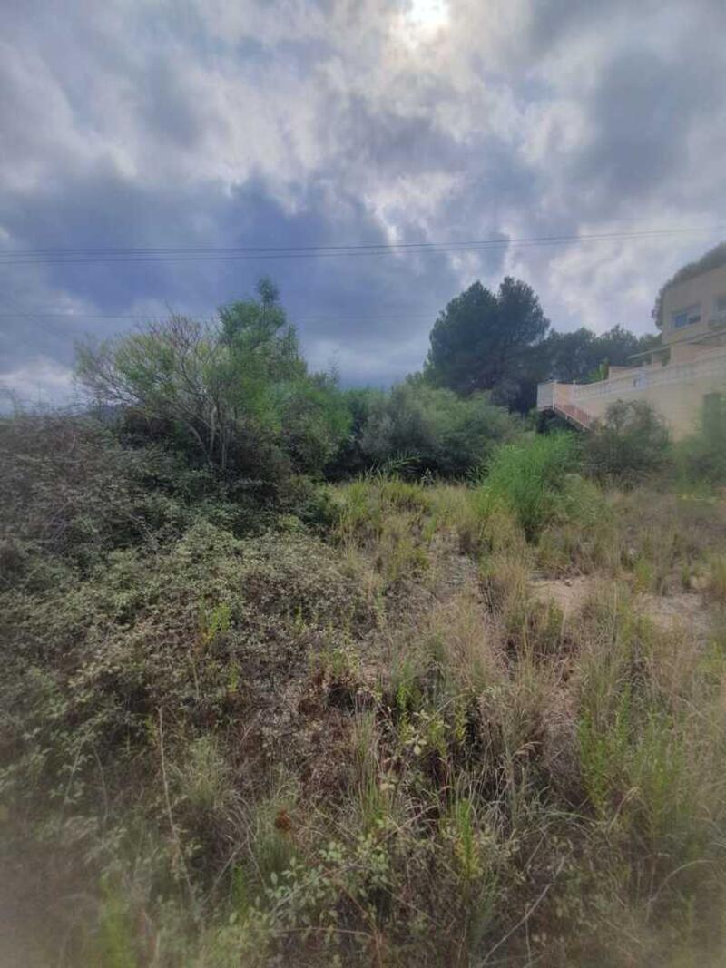 Land for sale in Alcalali, Alicante