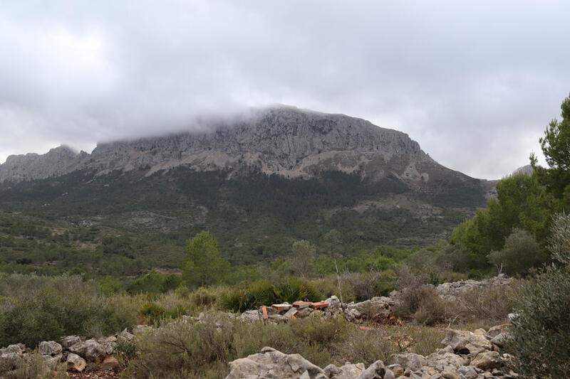 Terrain à vendre