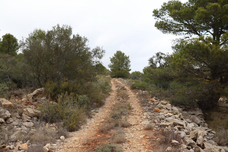 Terrenos en venta