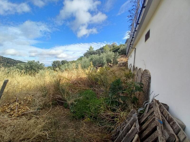 5 Cuarto Casa de Campo en venta