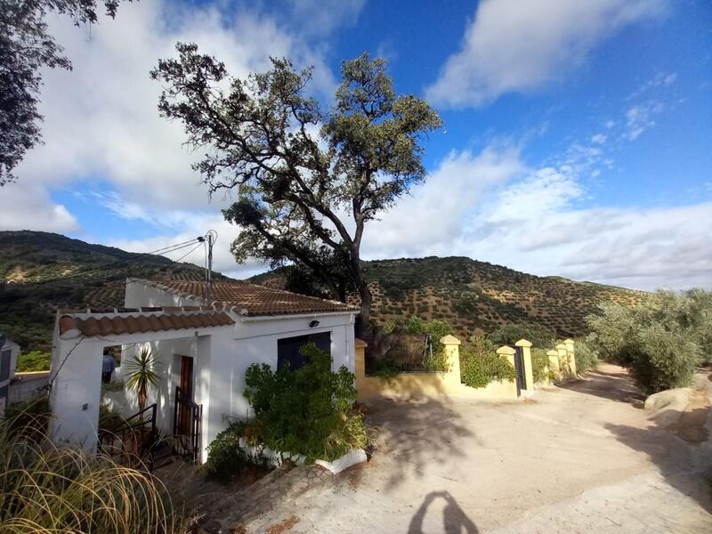 5 Cuarto Casa de Campo en venta