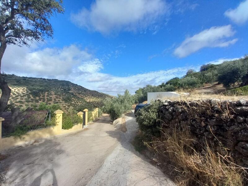 5 Cuarto Casa de Campo en venta