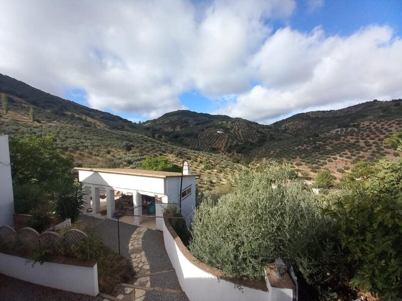5 Cuarto Casa de Campo en venta