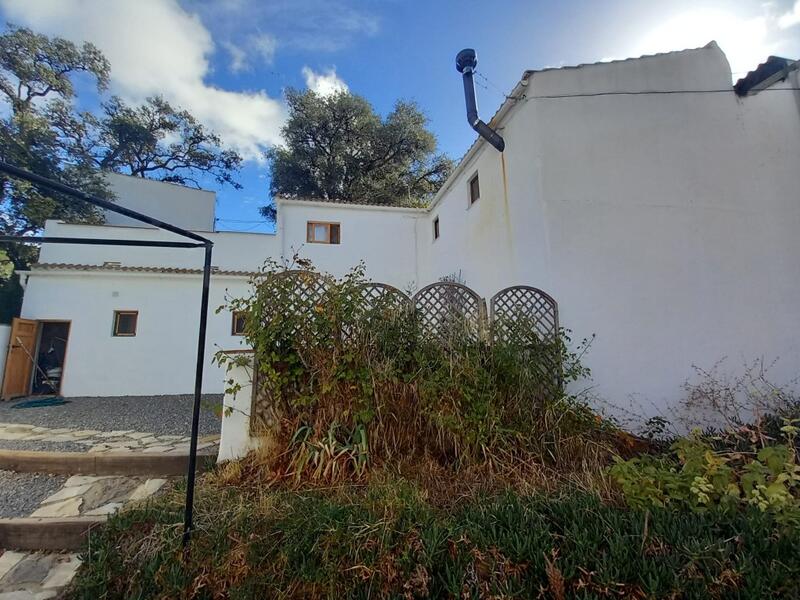 5 Cuarto Casa de Campo en venta