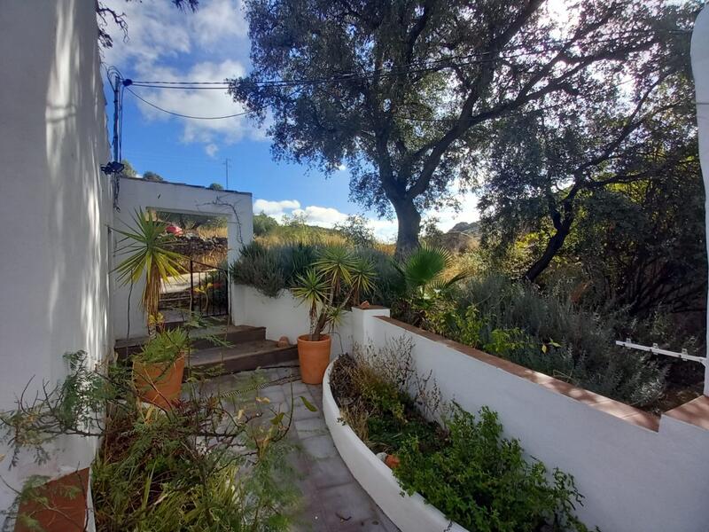 5 Cuarto Casa de Campo en venta