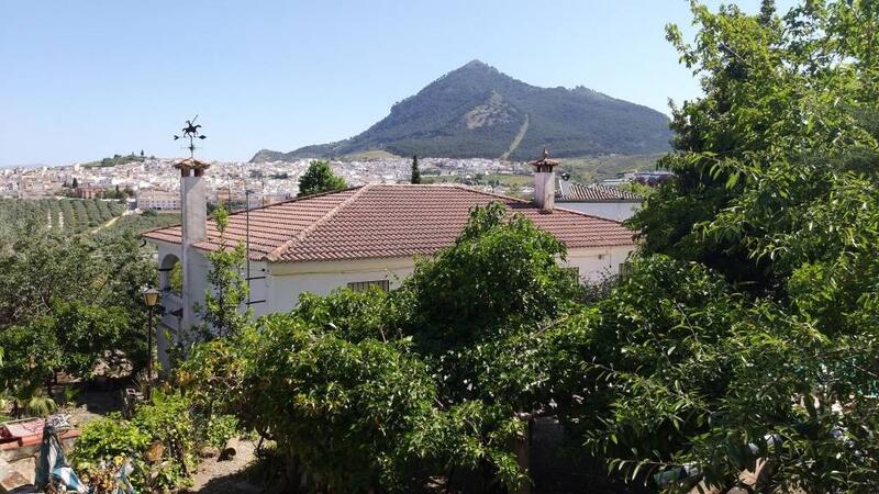 5 Cuarto Villa en venta