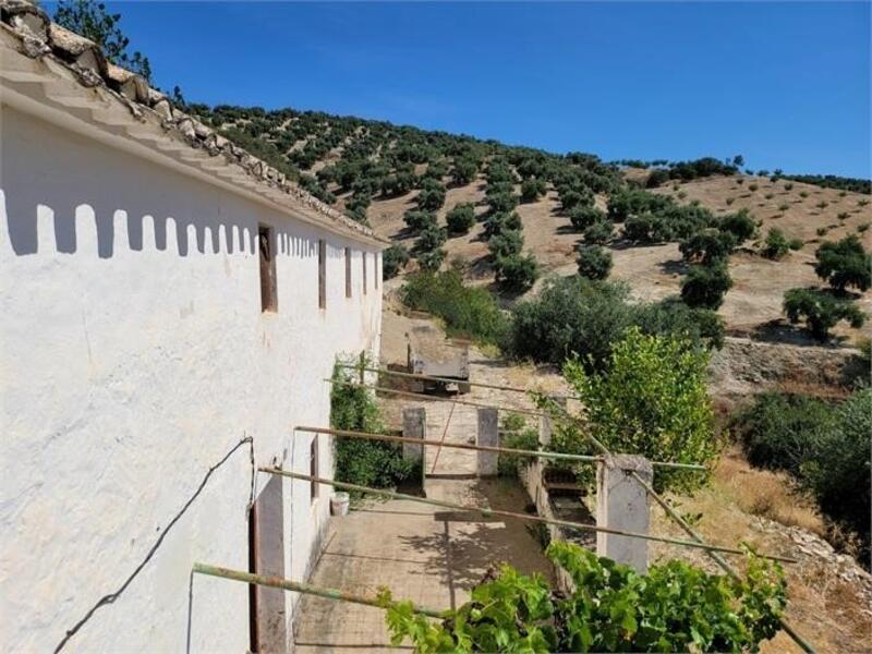 5 Cuarto Casa de Campo en venta