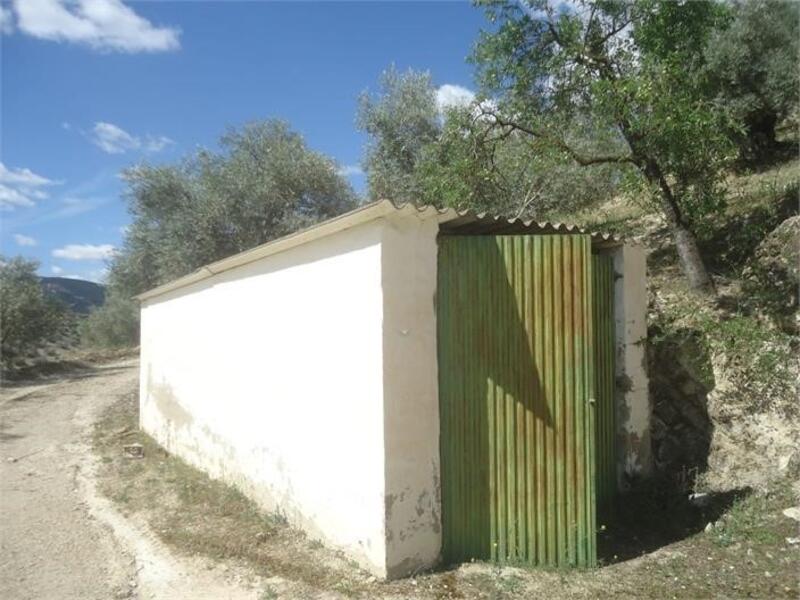 5 Cuarto Casa de Campo en venta