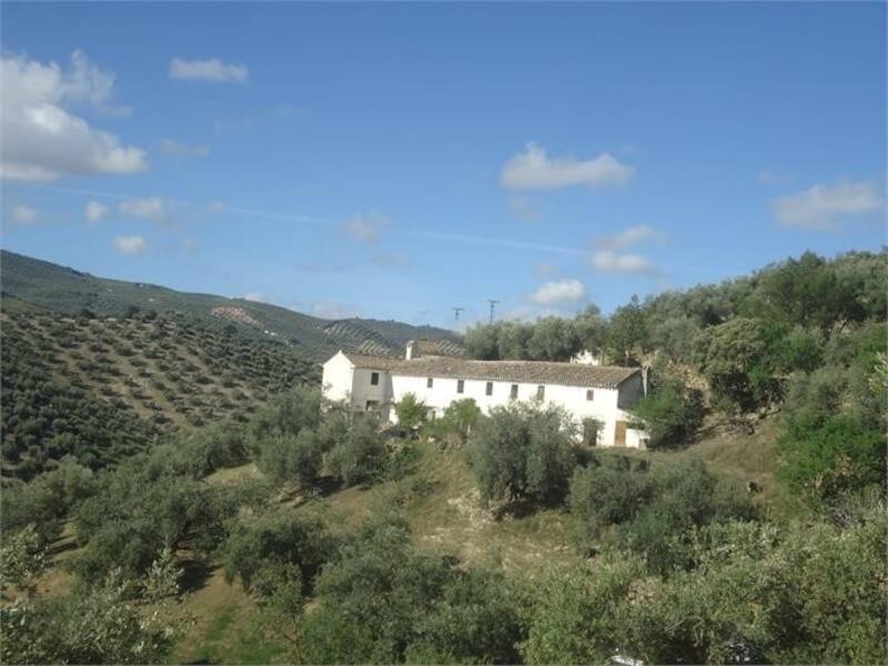 5 Cuarto Casa de Campo en venta