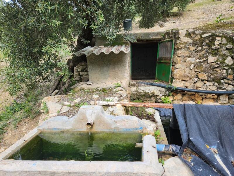 5 Cuarto Casa de Campo en venta