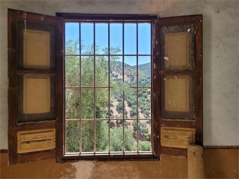 5 chambre Auberge à vendre