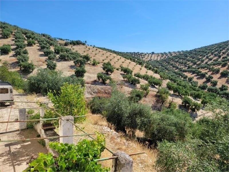 5 chambre Auberge à vendre