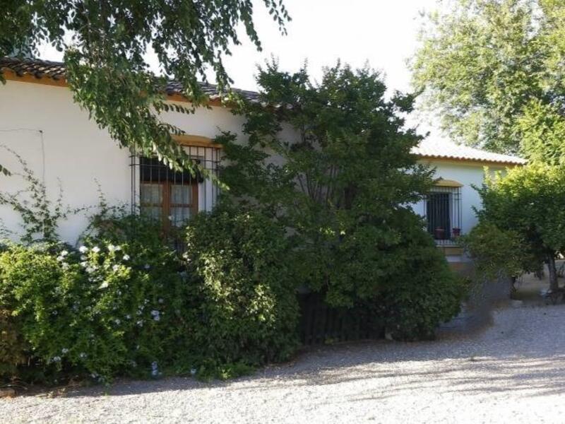 5 Schlafzimmer Landhaus zu verkaufen
