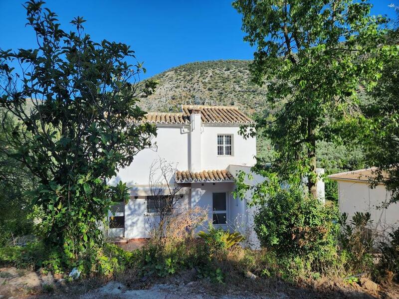 4 Cuarto Casa de Campo en venta
