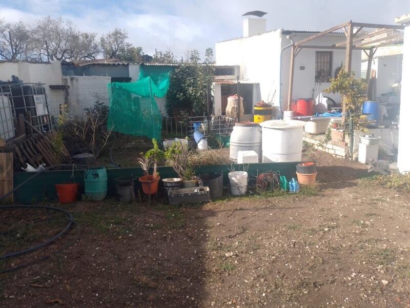 4 chambre Auberge à vendre