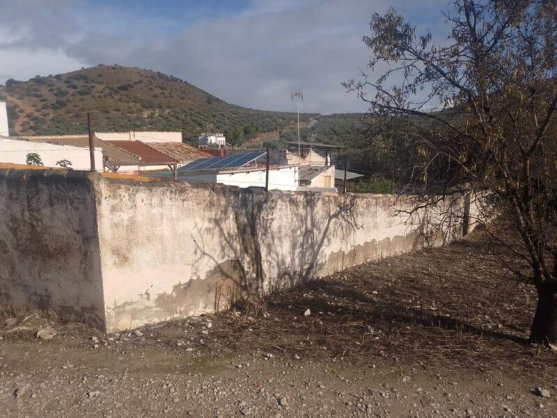 4 chambre Auberge à vendre