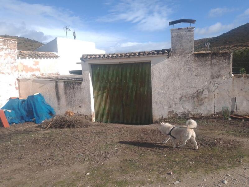 4 chambre Auberge à vendre