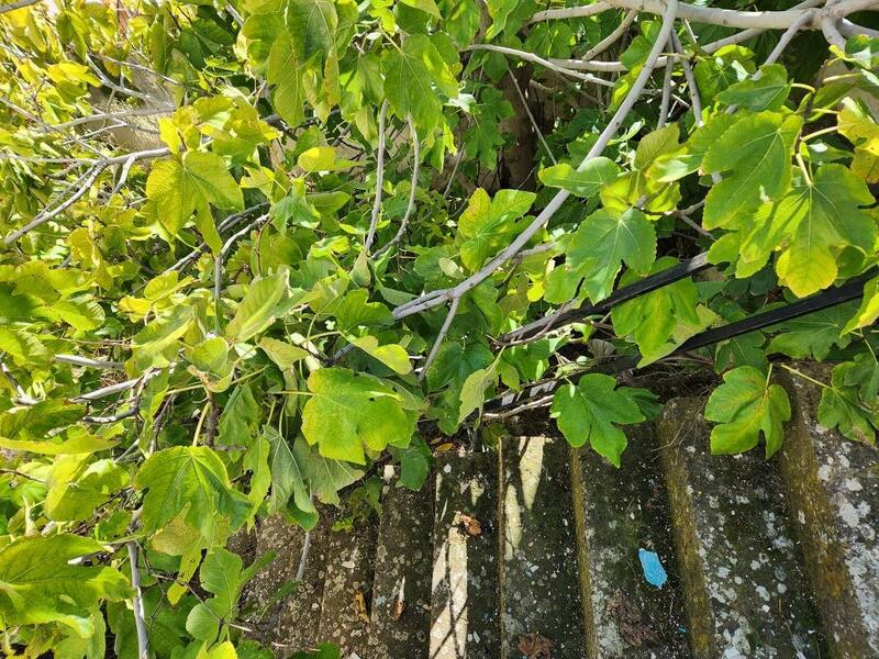 3 chambre Maison de Ville à vendre
