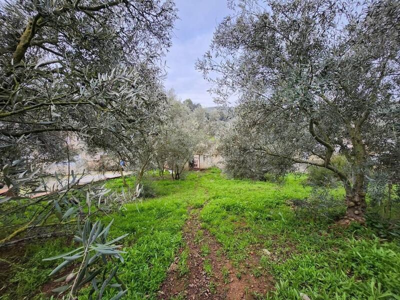 4 sovrum Radhus till salu