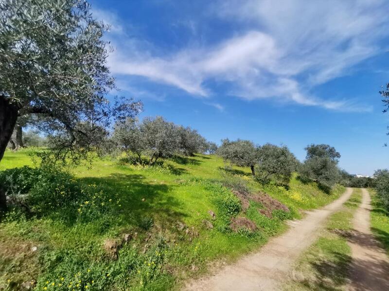 3 bedroom Country House for sale