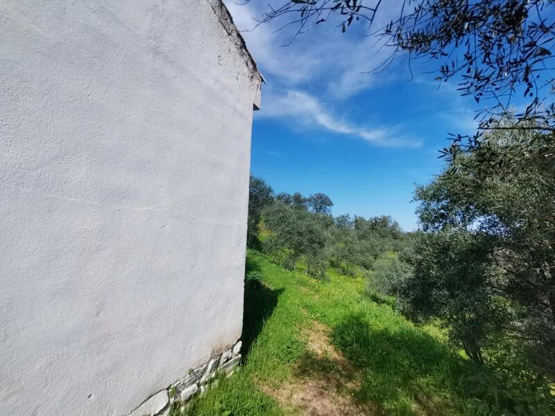 3 bedroom Country House for sale