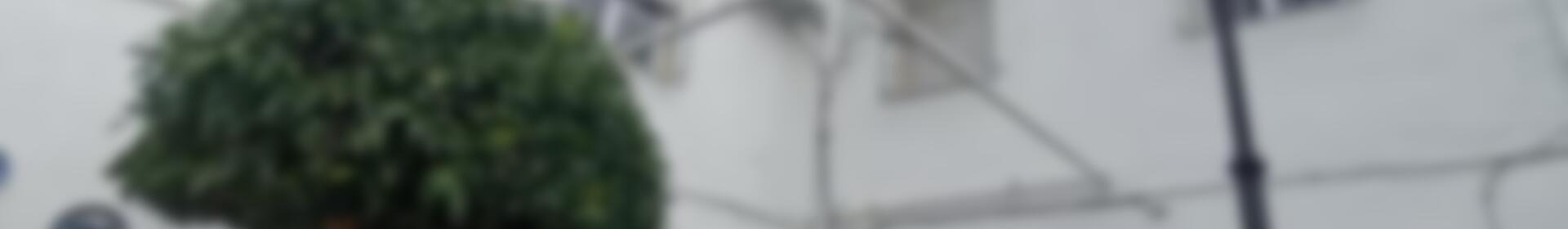 3 soverom Herregård til salgs