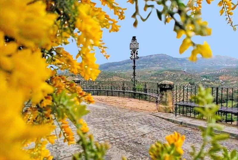 2 soverom Leilighet til salgs