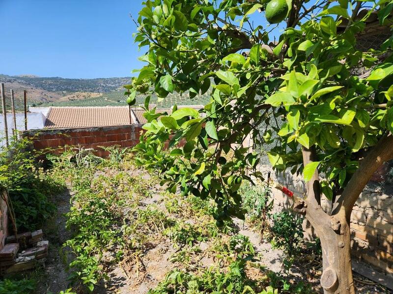 4 спальная комната городская тюрьма продается