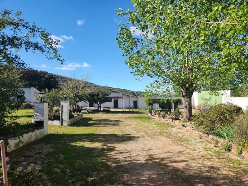 5 Cuarto Casa de Campo en venta