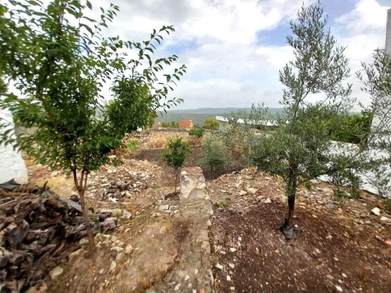 4 chambre Auberge à vendre