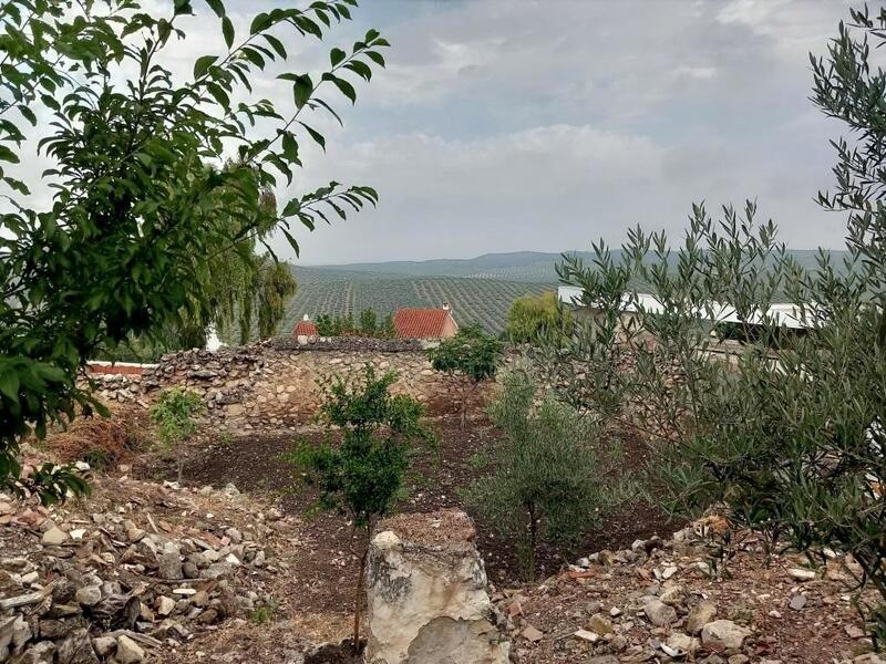 4 chambre Auberge à vendre