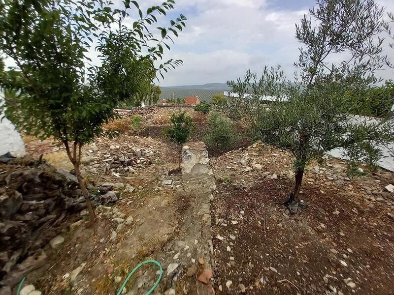 4 chambre Auberge à vendre