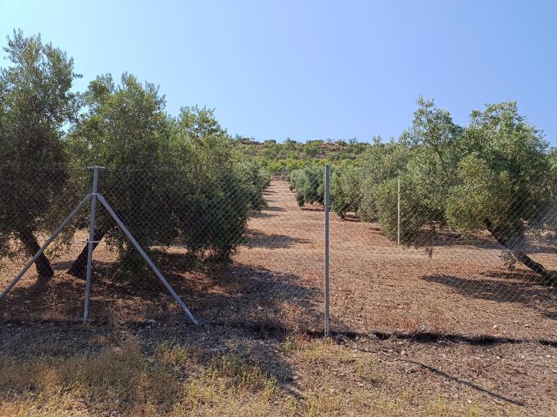 2 bedroom Country House for sale 2 bedroom Country House for sale