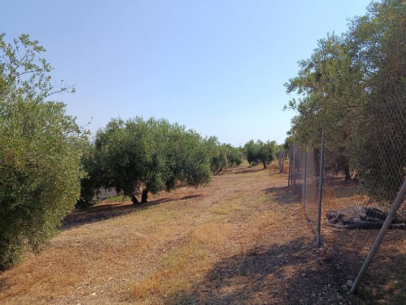 2 bedroom Country House for sale 2 bedroom Country House for sale