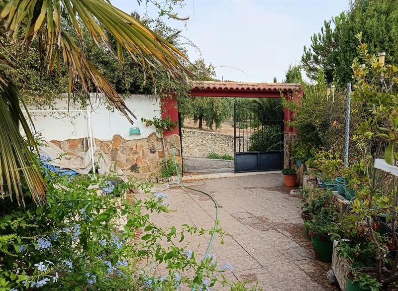 4 slaapkamer Landhuis Te koop 4 slaapkamer Landhuis Te koop